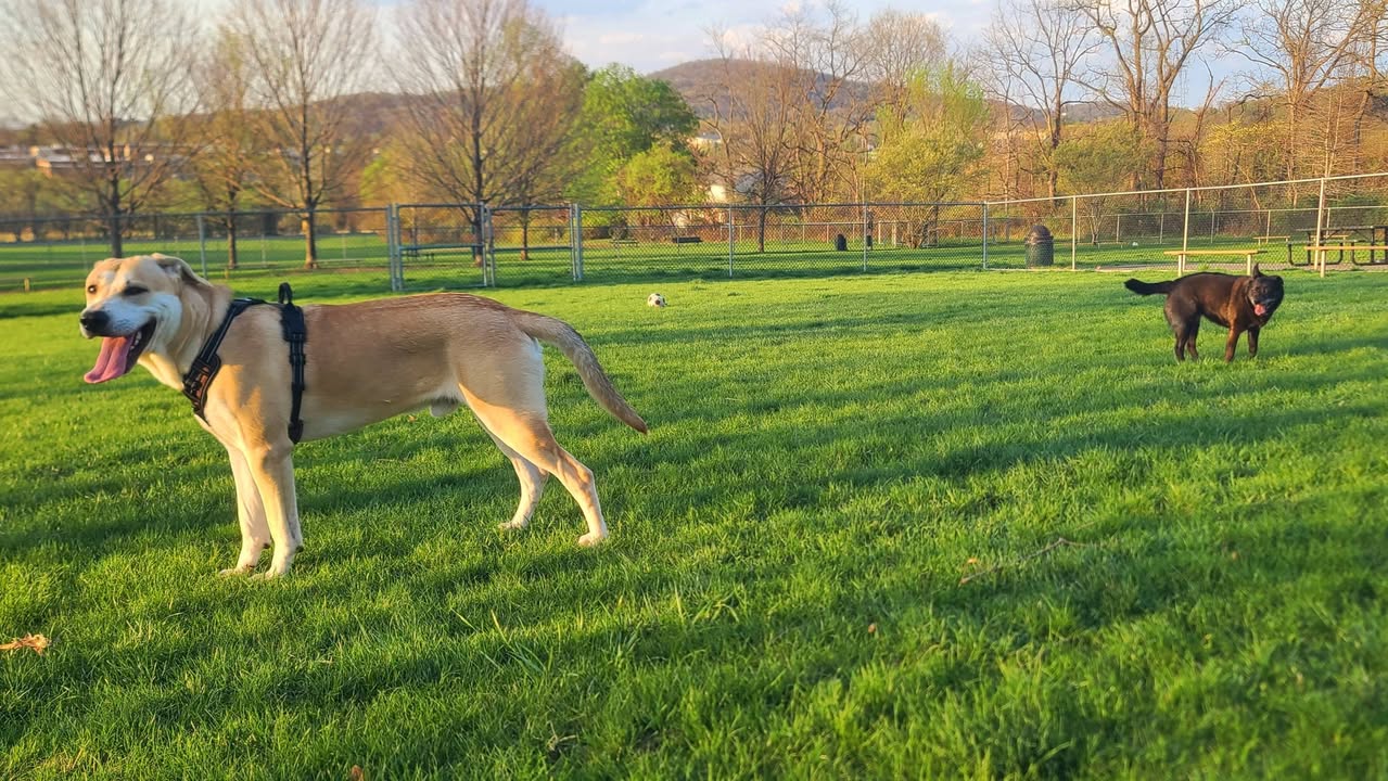 Friends of Chad Heimbecker